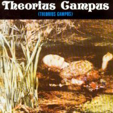 Theorius Campus