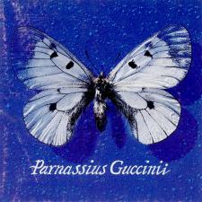 Parnassius Guccinii