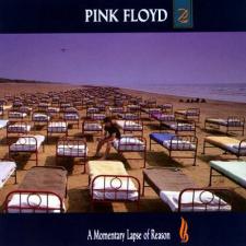 A Momentary Lapse of Reason