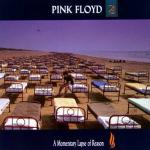 A new Machine (part I) da A Momentary Lapse of Reason, Pink Floyd