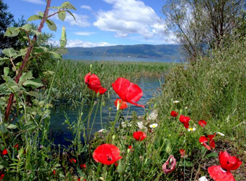 La strada per Struga