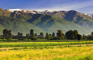 Le Montagne del Šar