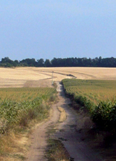 La campagna nei pressi di Vlasatice