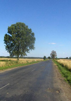 Una strada che attraversala campagna ungherese
