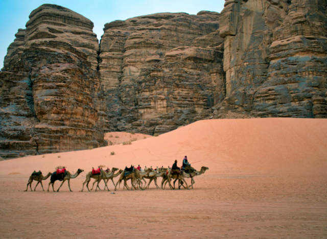 Una carovana nel deserto