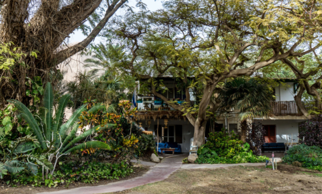 Il Giardino Botanico di Ein Gedi