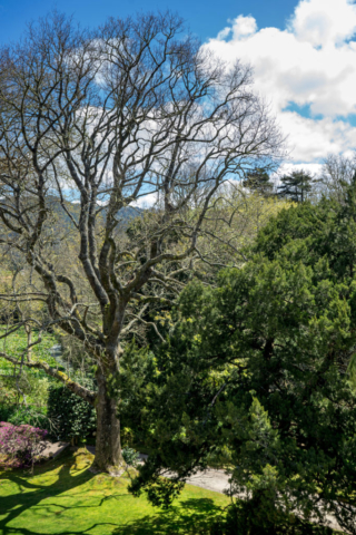 Il Parco Terra Nostra a Furnas