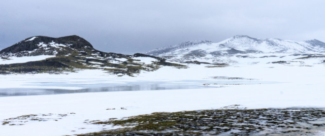 Panorama nei pressi di Bjarnarhöfn