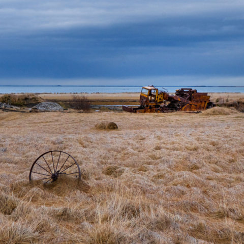 Un campo nei pressi di Hofn