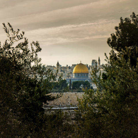 La Cupola della Roccia dal Getsemani