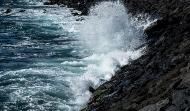 Ponta Garça, onde