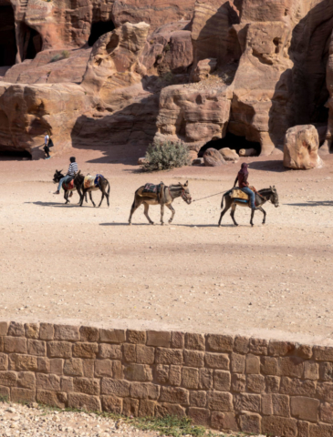 Asini a Petra