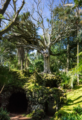 Ponta Delgada, parco